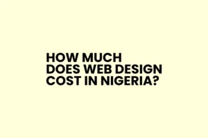 Read more about the article Web Design Pricing in Nigeria: How Much Does Web Design Cost in 2024?