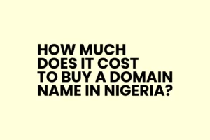 Read more about the article How much does it cost to buy a Domain Name in Nigeria?