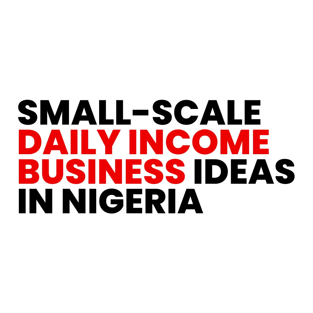 You are currently viewing Daily Income Business in Nigeria – 37 Small-Scale Business Ideas